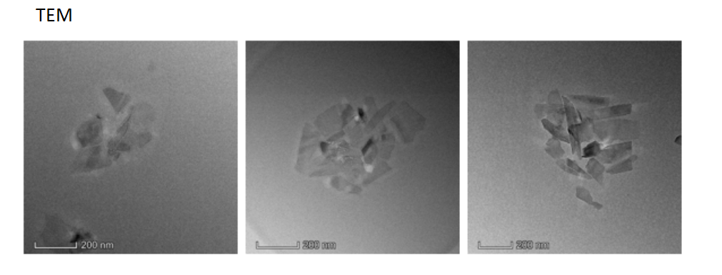 NH2-PEG2k-Hyd-RVG29 modified black phosphorus nanosheets@berberine