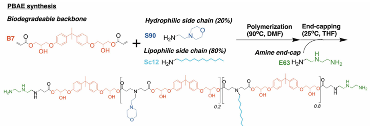 Custom PBAE synthesis