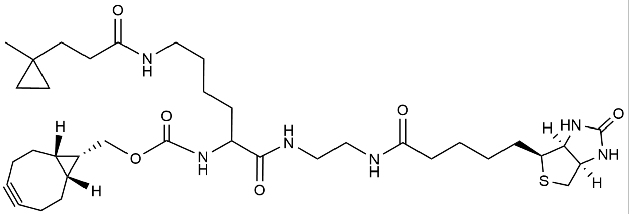 BCN-DAz(diazirine)-Biotin