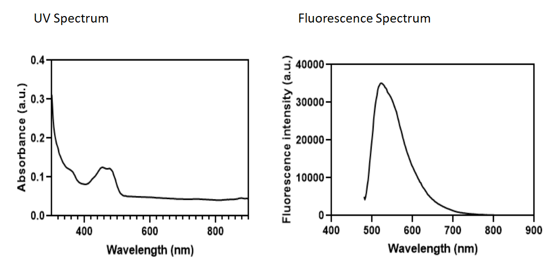 Liposome@peptide(PKPREP-K(FITC)),100nm