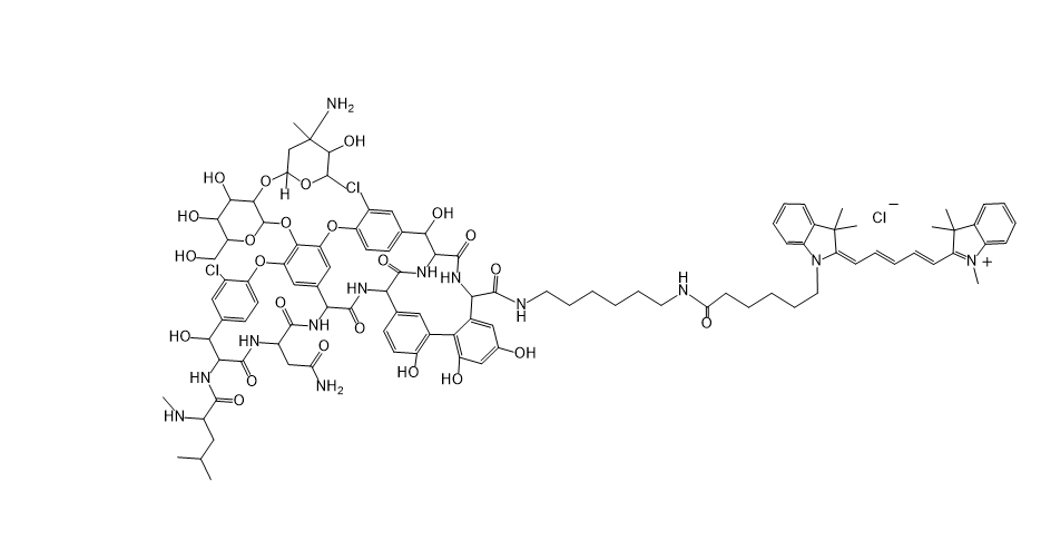 Cy5-vancomycin