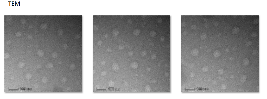 Liposome@Songorine and CY5.5 surface modified M1 targeting peptide CSNSDWSSC
