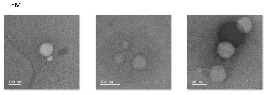 CY5.5-blank liposome surface modified RGD