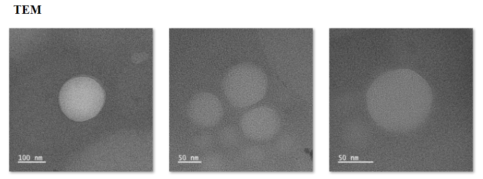 Liposomal nanoparticles@Notoginsenoside Ft1 and fluorescent CY5.5