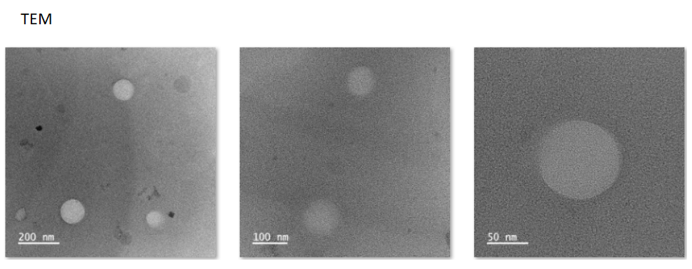 Liposomal nanoparticles@Ginkgolide B and fluorescent CY5.5
