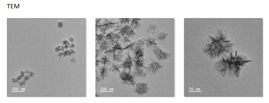 MAL-PEG2k-mesoporous MnO2,±100nm