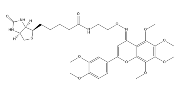 Biotin-Nobiletin