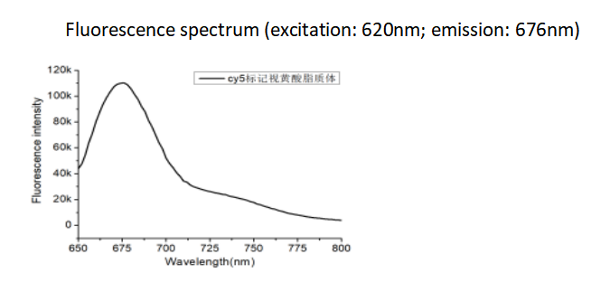 Cy5-liposomes@Nano Retinoic acid 